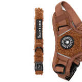Adjustable Collar - Teddy Bear - Bailey and Coco (UK)