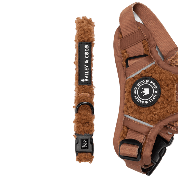 Adjustable Collar - Teddy Bear - Bailey and Coco (UK)