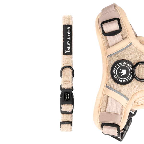 Adjustable Collar - Vanilla Teddy - Bailey and Coco (UK)
