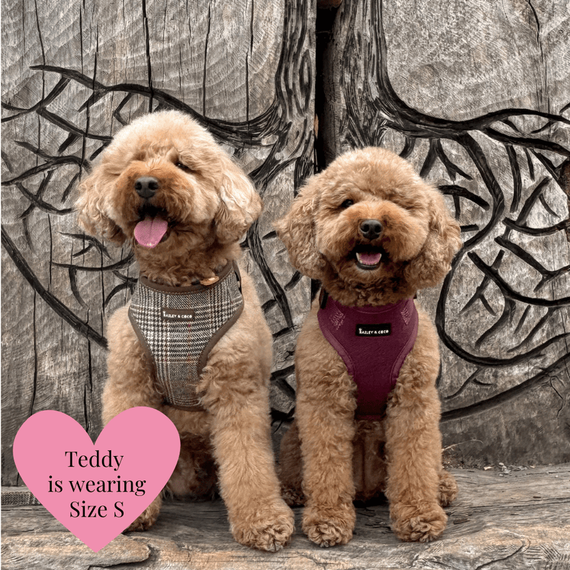 Adjustable Dog Harness Bundle Set - Heritage Plaid - Bailey and Coco (UK)