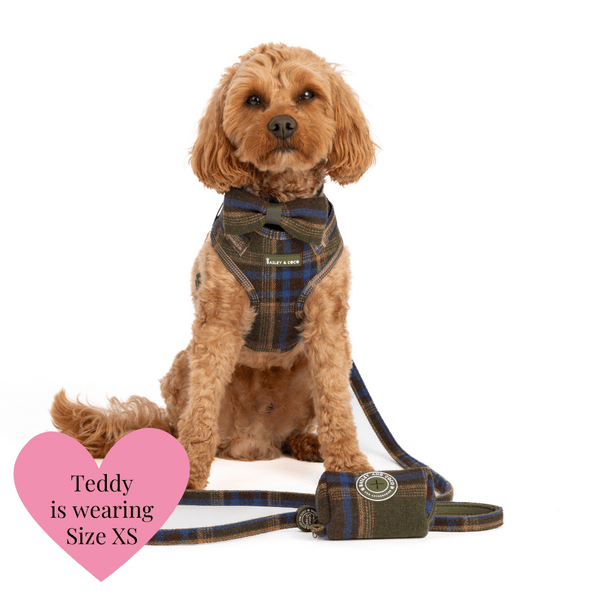 Adjustable Dog Harness Bundle Set - Mayfair Tweed - Bailey and Coco (UK)