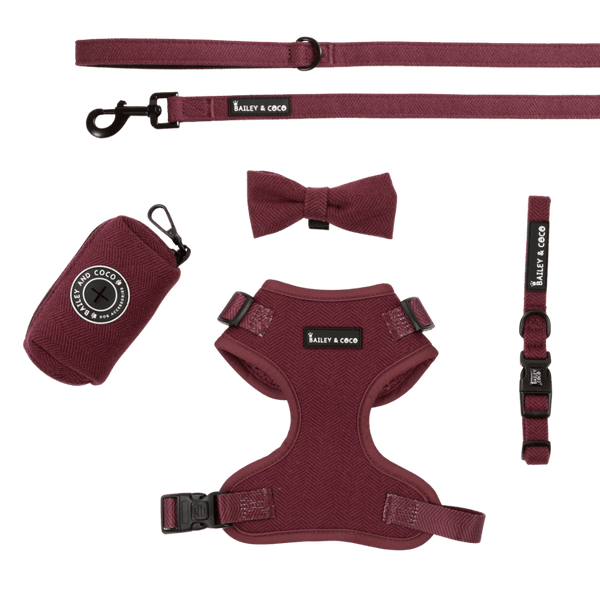 Adjustable Dog Harness Bundle Set - Mulberry Tweed - Bailey and Coco (UK)