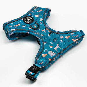 Adjustable Glow Harness® - A Dog's Tail