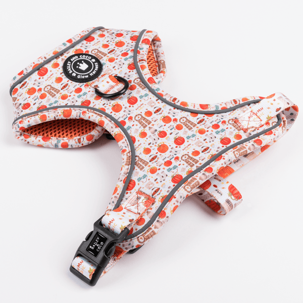 Adjustable Glow Harness® - Autumn Magic - Bailey and Coco (UK)