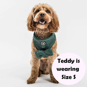 Adjustable Glow Harness® - Emerald Teddy - Bailey and Coco (UK)