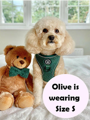 Adjustable Glow Harness® - Emerald Teddy - Bailey and Coco (UK)