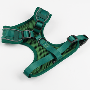 Adjustable Glow Harness® - Emerald Teddy - Bailey and Coco (UK)