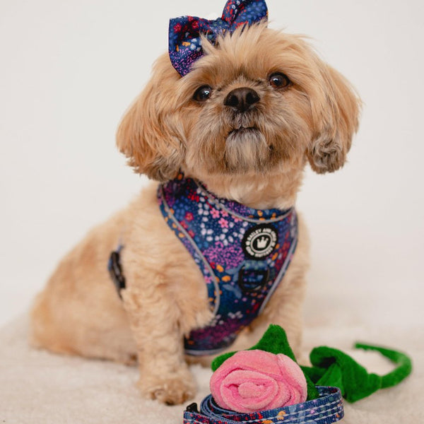 Adjustable Glow Harness® - Enchanted - alternate view