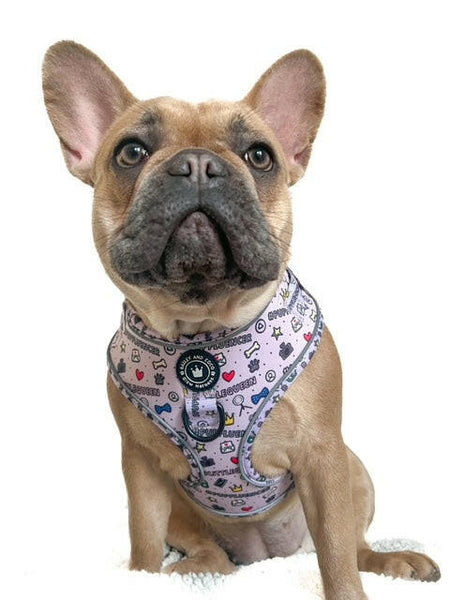 Adjustable Glow Harness® - Pupfluencer Little Queen - alternate view