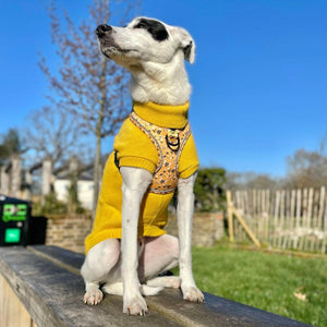 Adjustable Glow Harness® - Wanna - Bee - Bailey and Coco (UK)