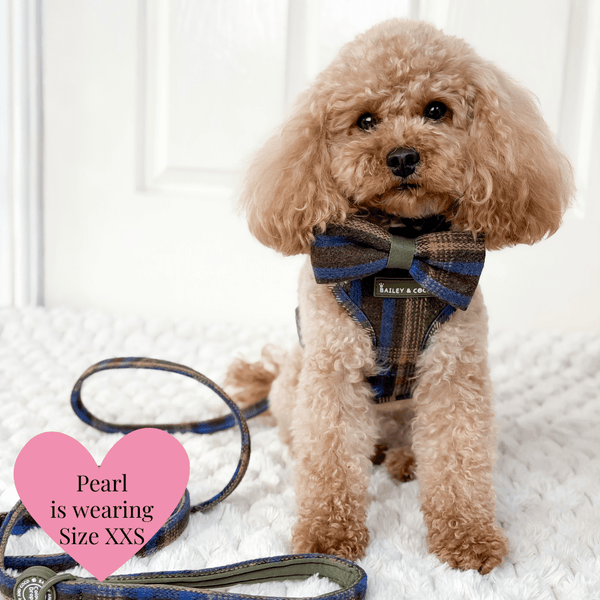 Adjustable Tweed Dog Harness & Mini Lead Set - Colour Drops - Mayfair Tweed - Bailey and Coco (UK)