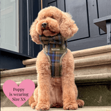 Adjustable Tweed Dog Harness & Mini Lead Set - Colour Drops - Mayfair Tweed - Bailey and Coco (UK)