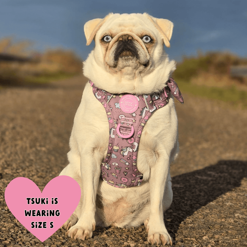 Be Unique Colour Drops - Adjustable Dog Harness, Lead, Collar & Black Dog Walking Bag Bundle - Bailey and Coco (UK)