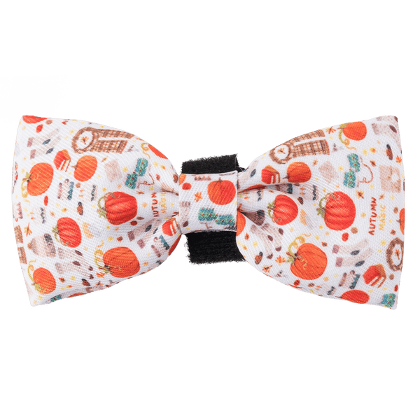 Bow Tie - Autumn Magic - Bailey and Coco (UK)