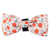 Bow Tie - Autumn Magic - Bailey and Coco (UK)