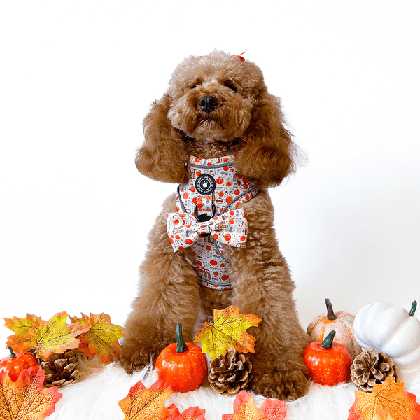 Bow Tie - Autumn Magic - alternate view