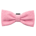 Bow Tie