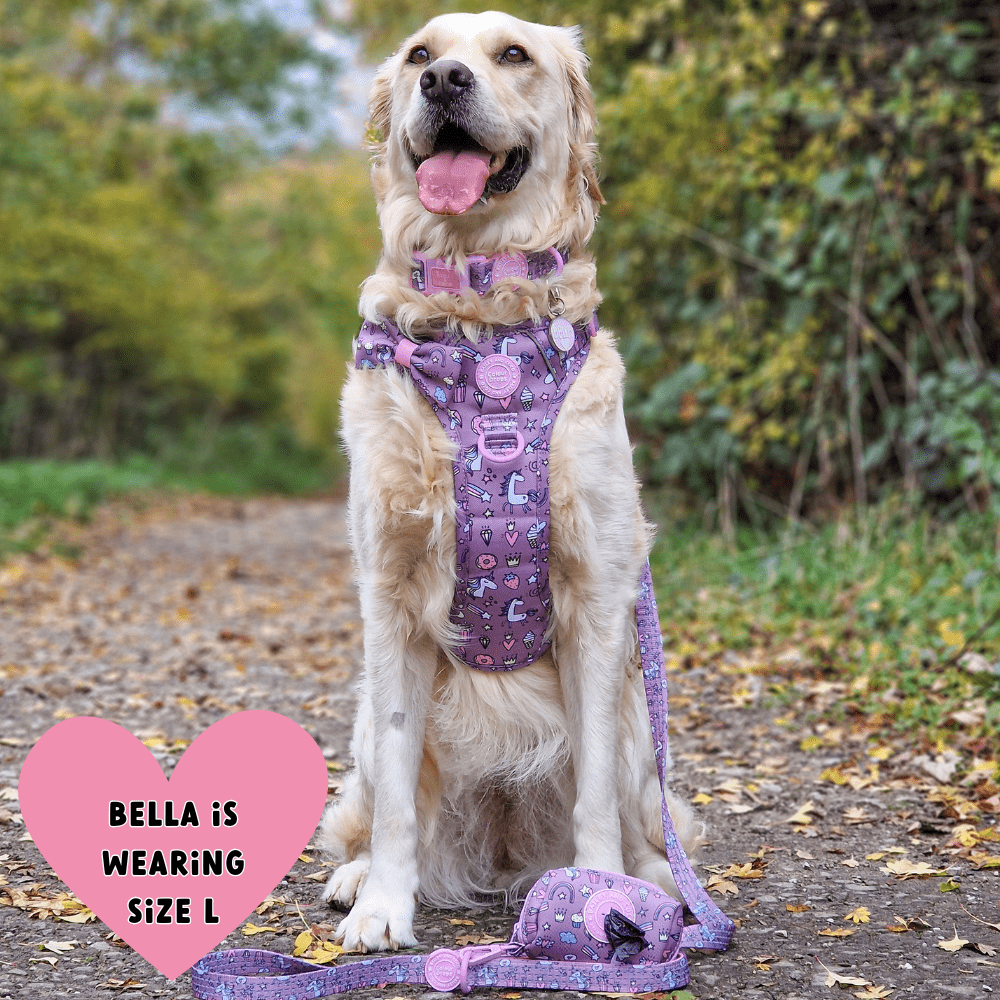 Bow Tie - Colour Drops - Be Unique Unicorn - Bailey and Coco (UK)