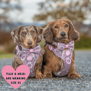 Bow Tie - Colour Drops - Be Unique Unicorn - Bailey and Coco (UK)