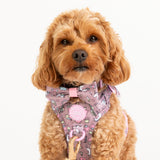 Bow Tie - Colour Drops - Be Unique Unicorn - Bailey and Coco (UK)