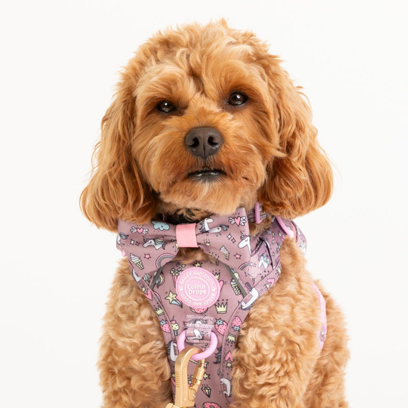 Bow Tie - Colour Drops - Be Unique Unicorn - Bailey and Coco (UK)