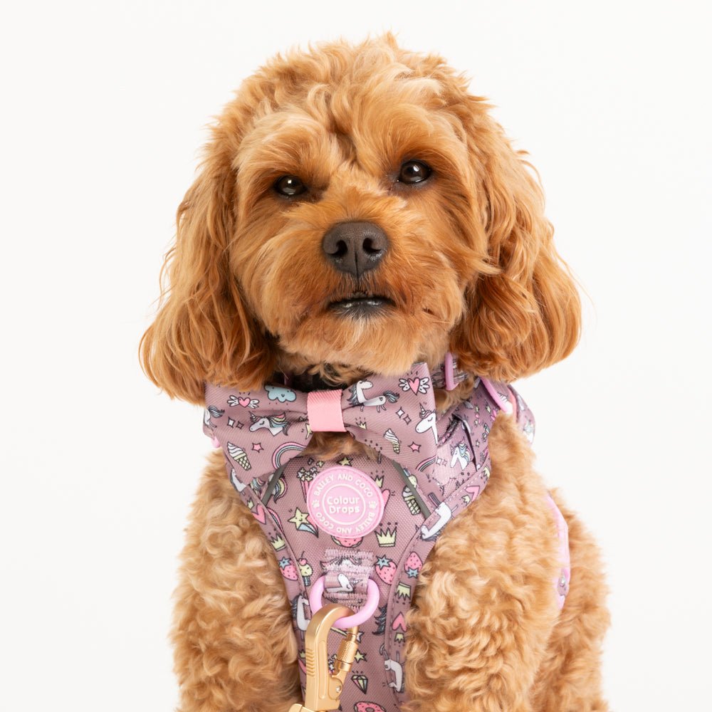 Bow Tie - Colour Drops - Be Unique Unicorn - Bailey and Coco (UK)