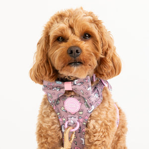 Bow Tie - Colour Drops - Be Unique Unicorn - Bailey and Coco (UK)