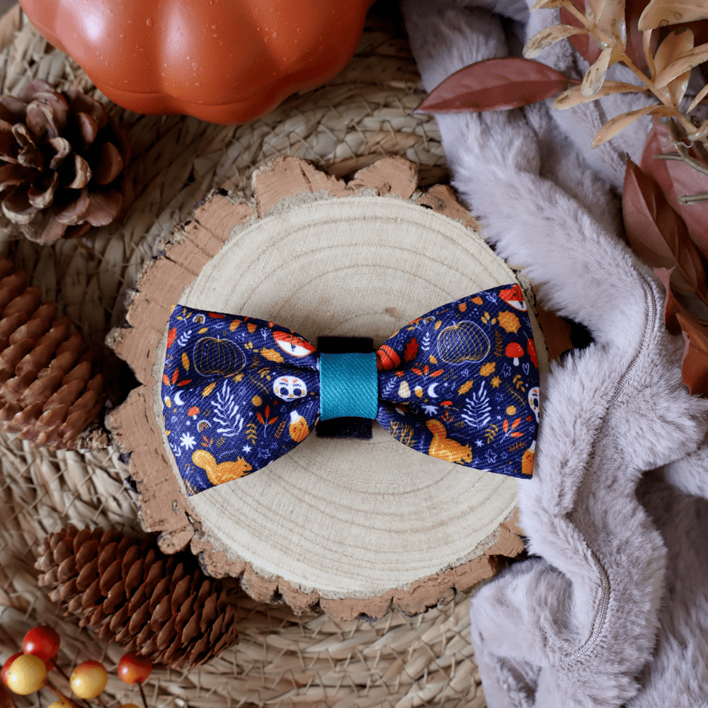 Bow Tie - COLOUR DROPS® - Bewitched - Bailey and Coco (UK)