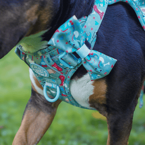 Bow Tie - Colour Drops - Dino Party - Bailey and Coco (UK)