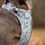 Bow Tie - Colour Drops - Dino Party - Bailey and Coco (UK)