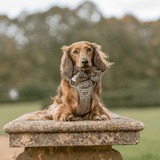 Bow Tie - Colour Drops - Heritage Plaid - Bailey and Coco (UK)