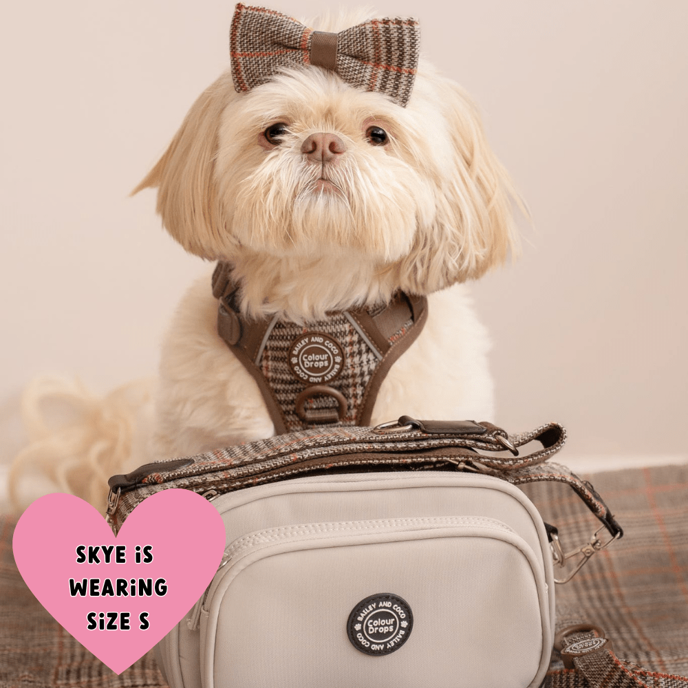 Bow Tie - Colour Drops - Heritage Plaid - Bailey and Coco (UK)