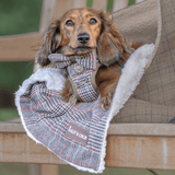 Bow Tie - Colour Drops - Heritage Plaid - Bailey and Coco (UK)