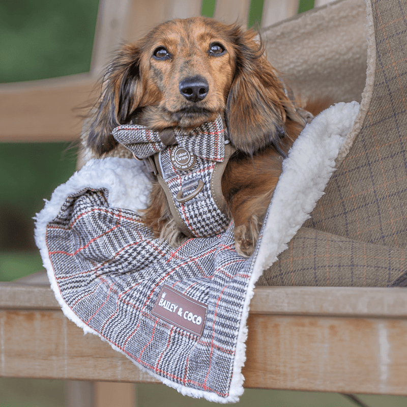 Bow Tie - Colour Drops - Heritage Plaid - Bailey and Coco (UK)