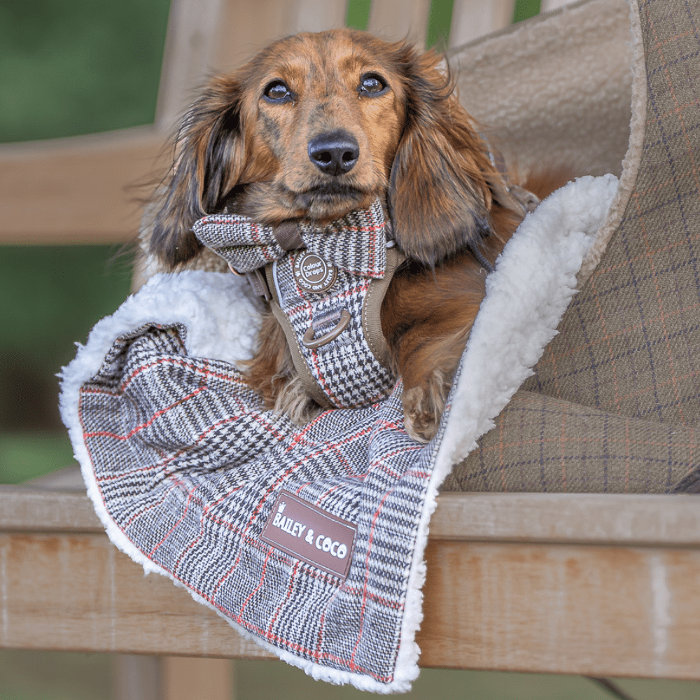 Bow Tie - Colour Drops - Heritage Plaid - Bailey and Coco (UK)