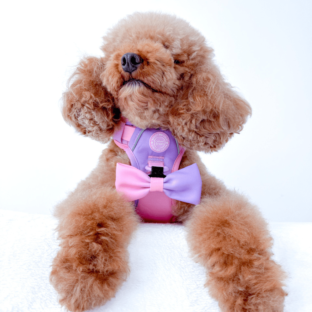 Bow Tie - COLOUR DROPS® - Love that for you - Bailey and Coco (UK)