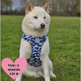 Bow Tie - Colour Drops - Loves me, Loves me not - Bailey and Coco (UK)