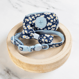 Bow Tie - Colour Drops - Loves me, Loves me not - Bailey and Coco (UK)