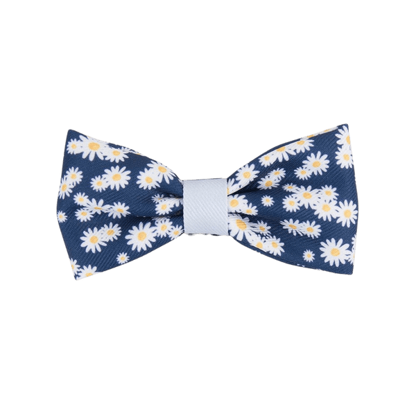 Bow Tie - Colour Drops - Loves me, Loves me not - Bailey and Coco (UK)