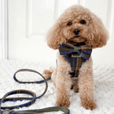 Bow Tie - Colour Drops - Mayfair Tweed - Bailey and Coco (UK)