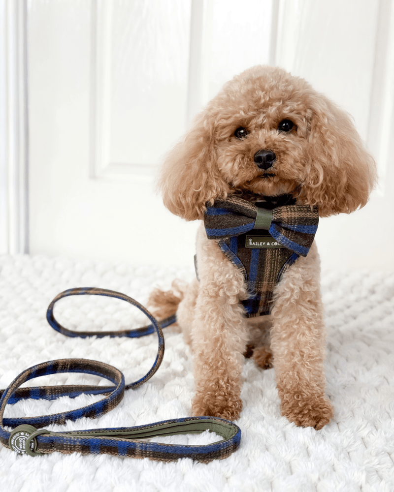 Bow Tie - Colour Drops - Mayfair Tweed - Bailey and Coco (UK)