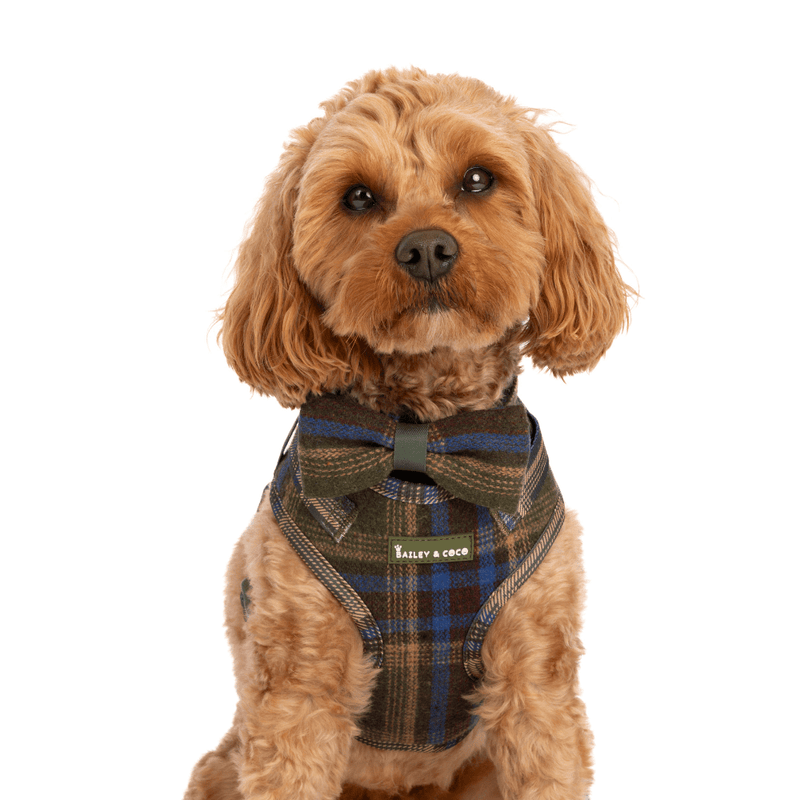 Bow Tie - Colour Drops - Mayfair Tweed - Bailey and Coco (UK)