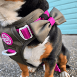 Bow Tie - COLOUR DROPS® - Olive it Hot - Bailey and Coco (UK)