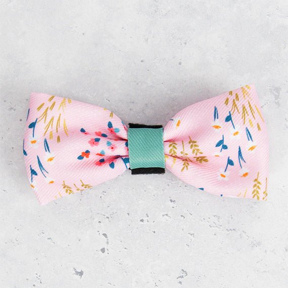 Bow Tie - COLOUR DROPS® - Pick Me - Bailey and Coco (UK)
