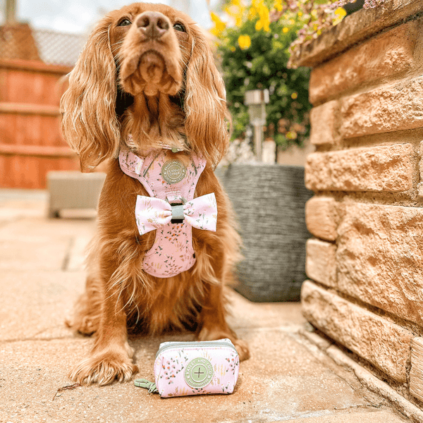 Bow Tie - COLOUR DROPS® - Pick Me - Bailey and Coco (UK)