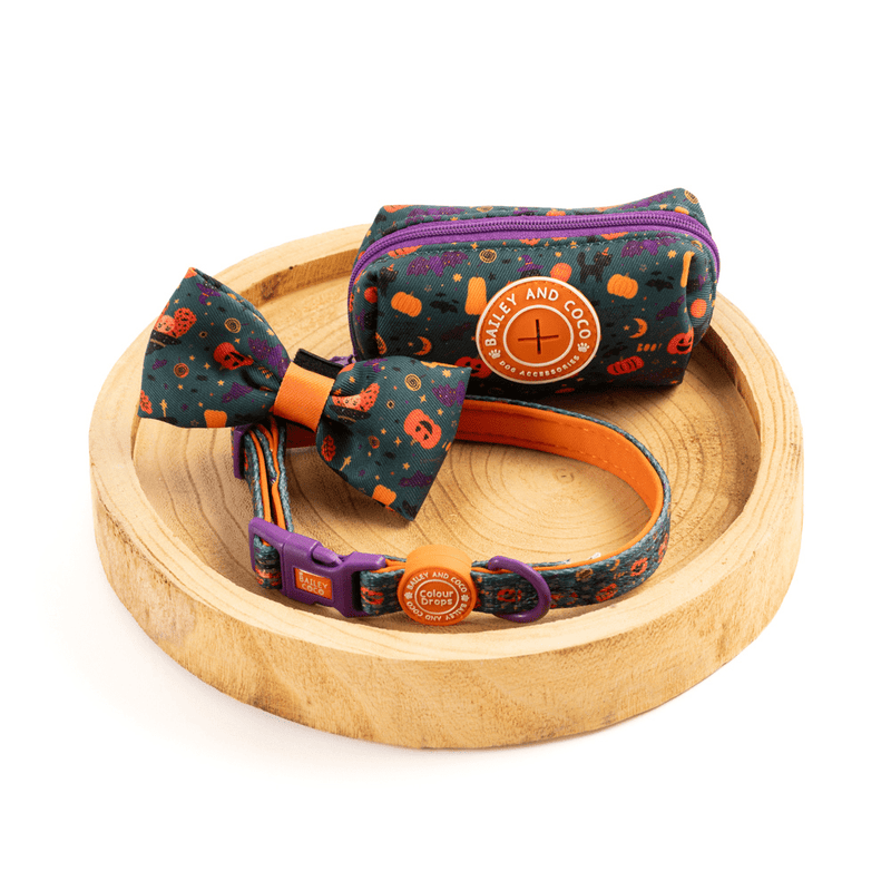 Bow Tie - Colour Drops - Spellbound Autumn - Bailey and Coco (UK)