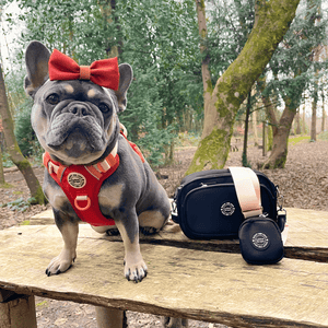Bow Tie - COLOUR DROPS® - Spice it up - Bailey and Coco (UK)