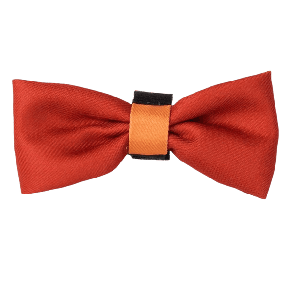 Bow Tie - COLOUR DROPS® - Spice it up - Bailey and Coco (UK)