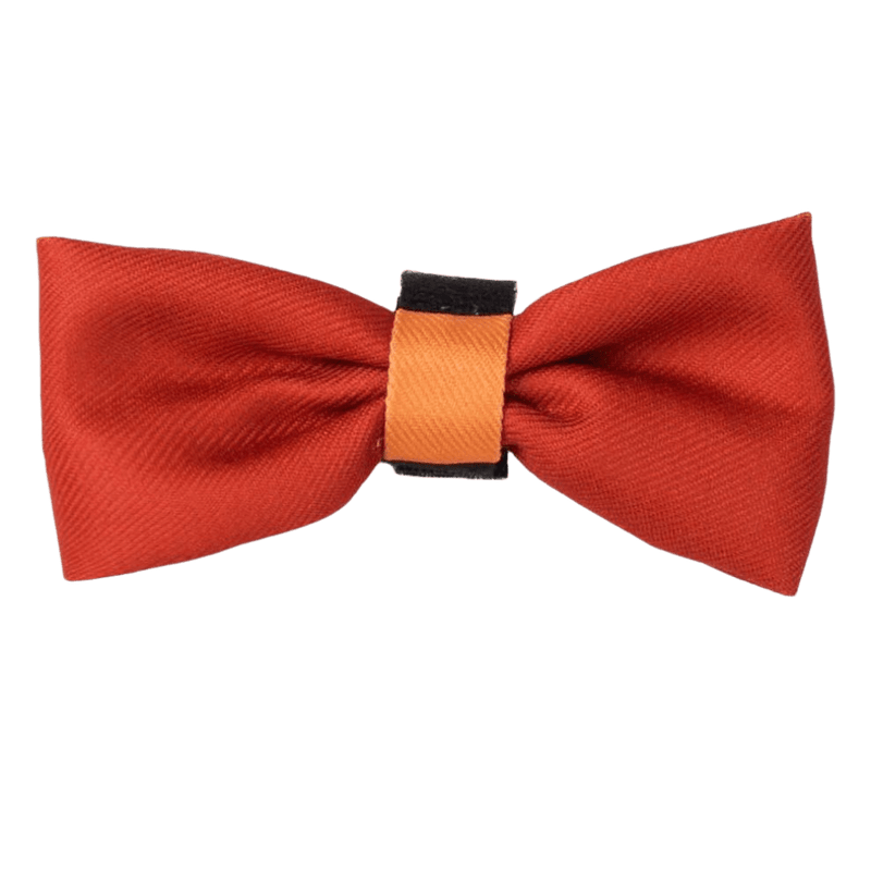 Bow Tie - COLOUR DROPS® - Spice it up - Bailey and Coco (UK)