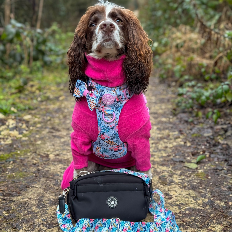 Bow Tie - Colour Drops - Spring Dreams - Bailey and Coco (UK)